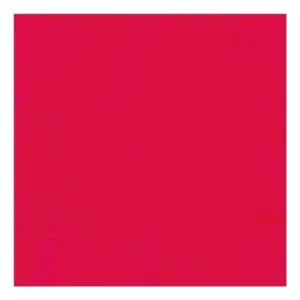 Guardanapos lisos 33cm vermelho ruby 20