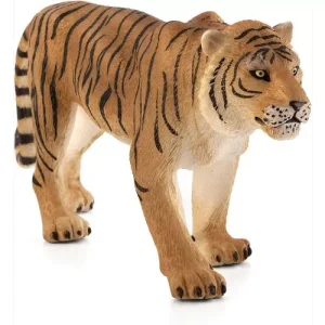 TIGRE DE BENGUELA – XL