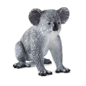 KOALA – M
