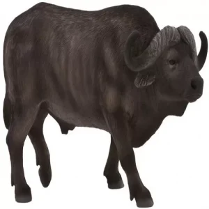 BÚFALO – XL