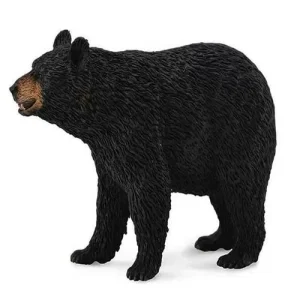 URSO PRETO – L