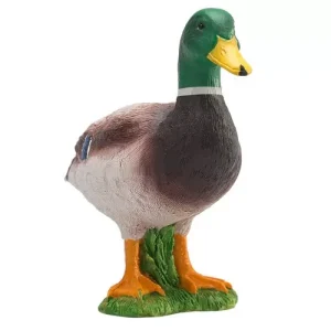 PATO REAL – M