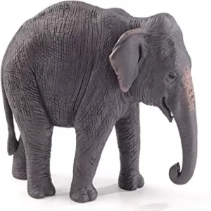 ELEFANTE ASIÁTICO – XL
