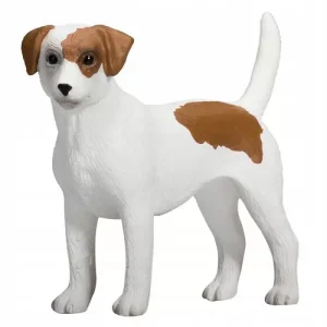 JACK RUSSELL TERRIER – M