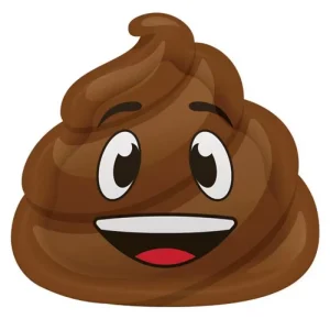 Pratos 23cm Emoji Poop 16uni